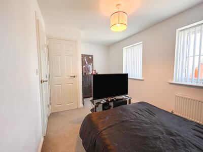 Picture 5